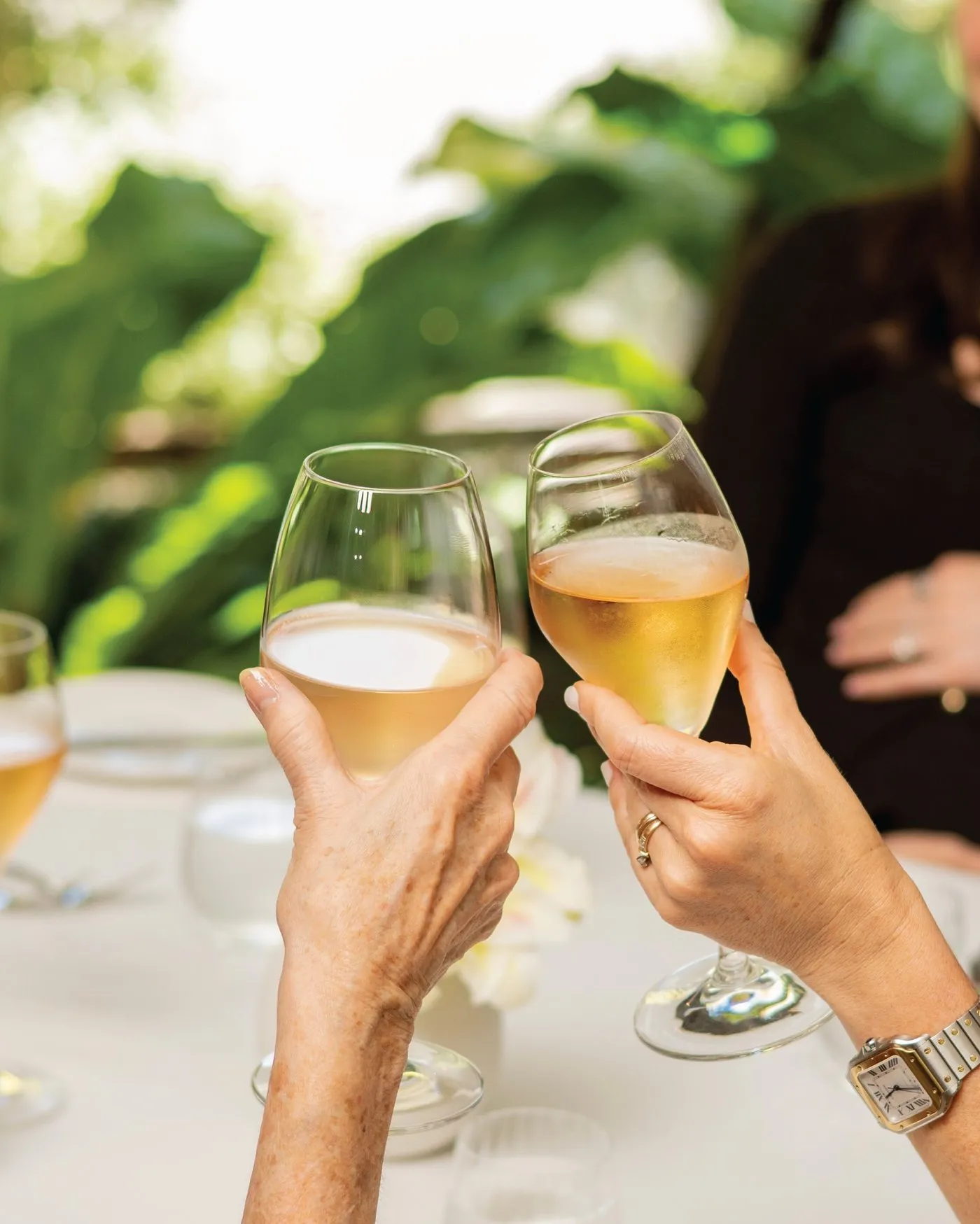 Dos copas de vino blanco en un brindis al mediodía, sobre mantel blanco y con plantas al fondo